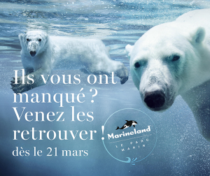 reouverture-marineland