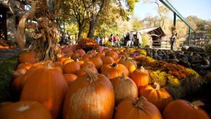 europapark-halloween-2