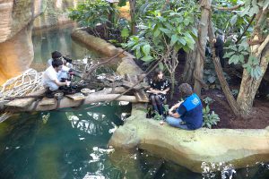 Reportage zoo de Beauval M6 zone interdite 