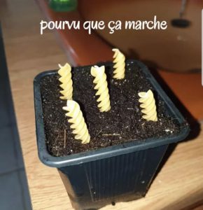 Planter des pates photo marrante