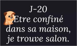 Le confinement, on trouve salon (blague coronavirus)