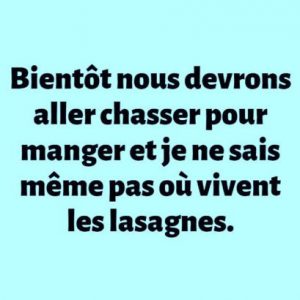 Les pâtes à chasser mais ou vivent les lasagnes 