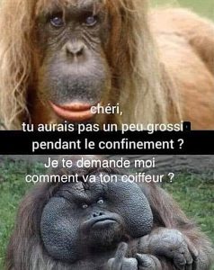 petits dialogue de confinés ...