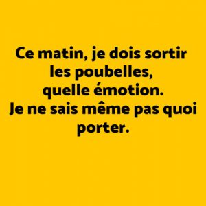 je dois soprtir les poubelles en confinement, je sais meme pas quoi mettre humour image lol