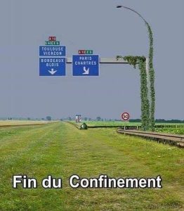 image : les autoroutes deviennent un champ vert à la fin confinement