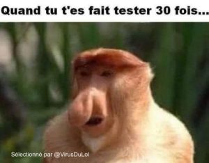 photo singe nez allongé et humour meme covid