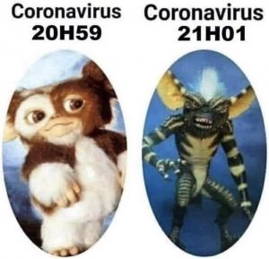 Le coronavirus devient gremlins : balgue de confinement