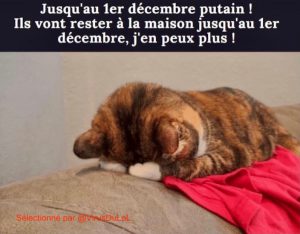 Humour Confinement Et Coronavirus Plus De 370 Meilleures Blagues Et Traits D Humour Covid 19