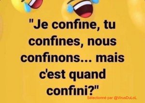 Comment conjuguer je confine tu confines nous confinons mais c'est quand confini