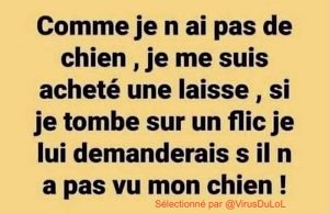 Pas de chien, alors Je me suis acheté une laisse pour le couvre-feu de 18h et si je croise un policier je lui demanderai s'il n'a pas vu mon chien