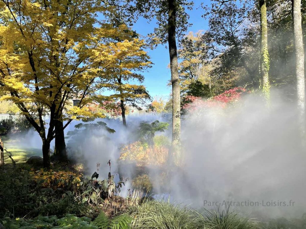 photo foret puy du fou environnement 