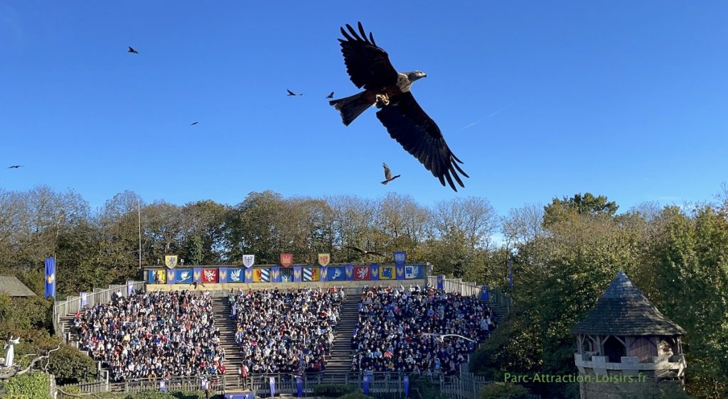 spectacle oiseaux puy du fou - atelier fauconnier