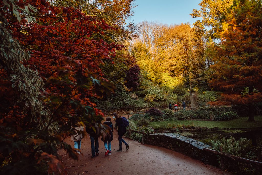 visite puy du fou automne octobre novembre