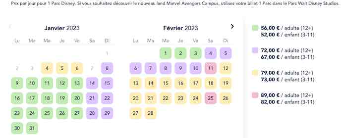 disneyland ouvert en janvier, billet pas cher 