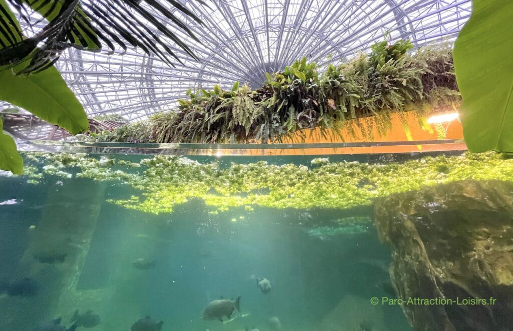 aquarium dome equatorial beauval