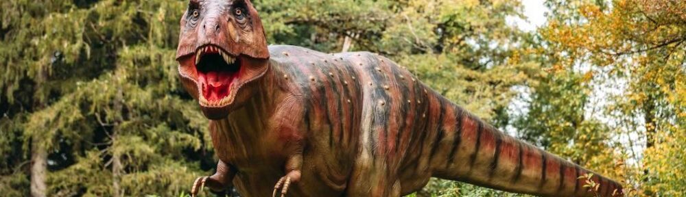 billet dino-zoo adresse tarif promo