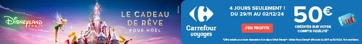 Promo Black Friday Disneyland Paris