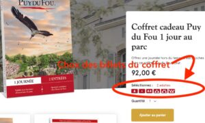 ou et comment acheter billet entrée parc puy du fou pour cadeau 