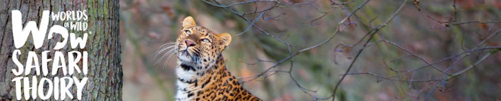 Safari et Zoo Thoiry