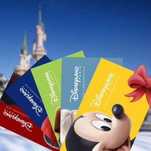 Billet Disneyland 49 euros
