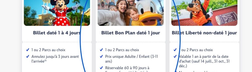 Billet 49 euros Disneyland : achat en ligne