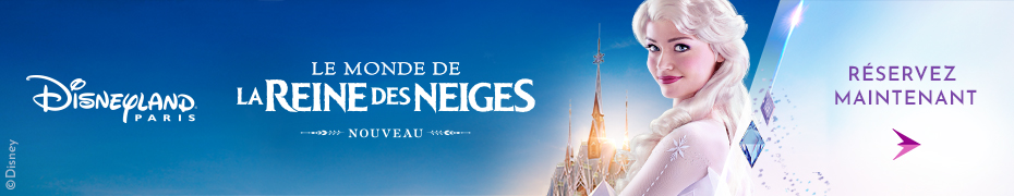 promo billet sejour parc disneyand reine des neiges