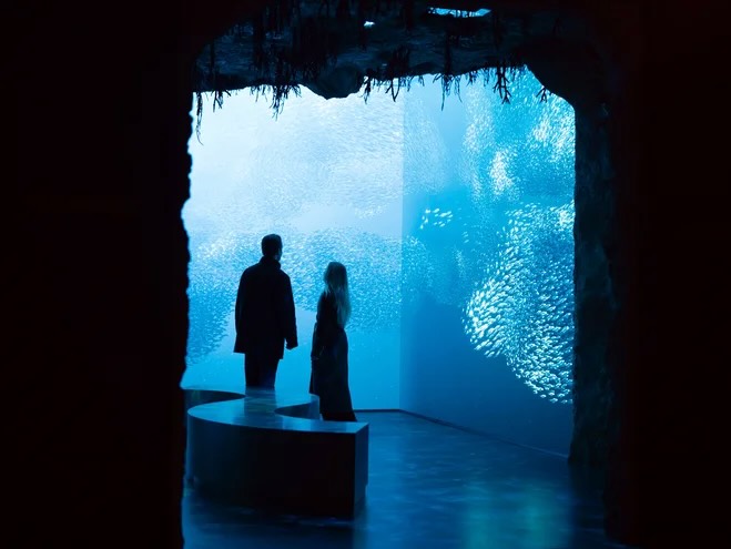 aquarium interactif quartier monaco d'Europa parc