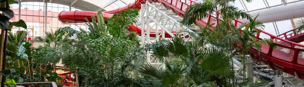 toboggan interieur liseberg oceana suede